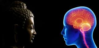 How Meditation Changes the Brain: Unlocking Neuroplasticity and Inner Calm