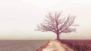 Be a Better Person: Embracing Life’s Brutal Truths for Growth