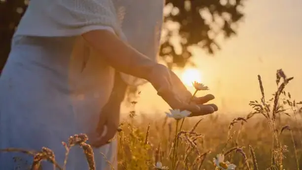 Spiritual Awakening A Journey to Self Realization and Inner Peace